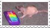 A deviant art stamp of neil the rat in front of his rainbow keyboard.