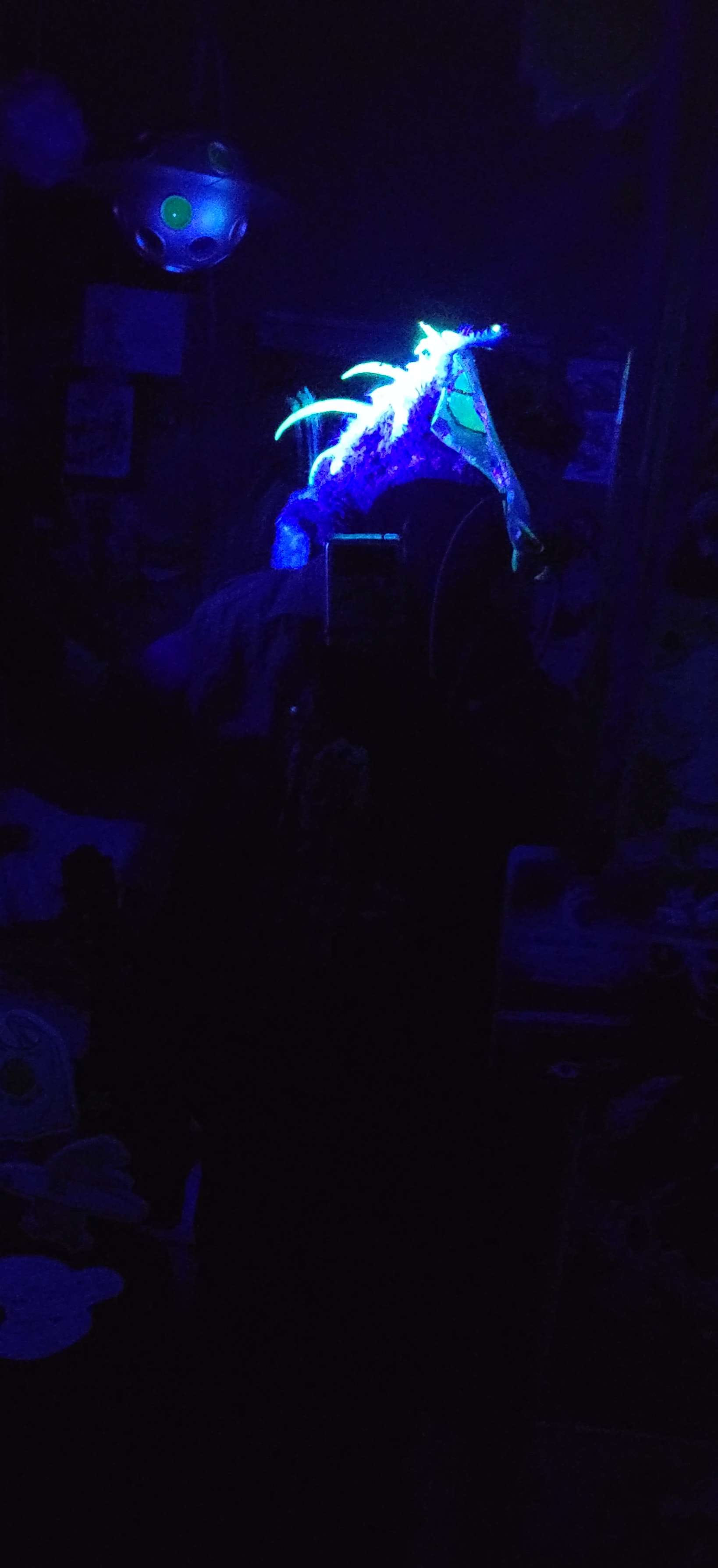 A blacklight mirror selfie of the weevil, showing off the flourescent spikes