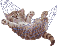 A gif of a cat swinging from side to side in a hammock.