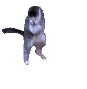 Transparent gif of the 'he cookin' cat